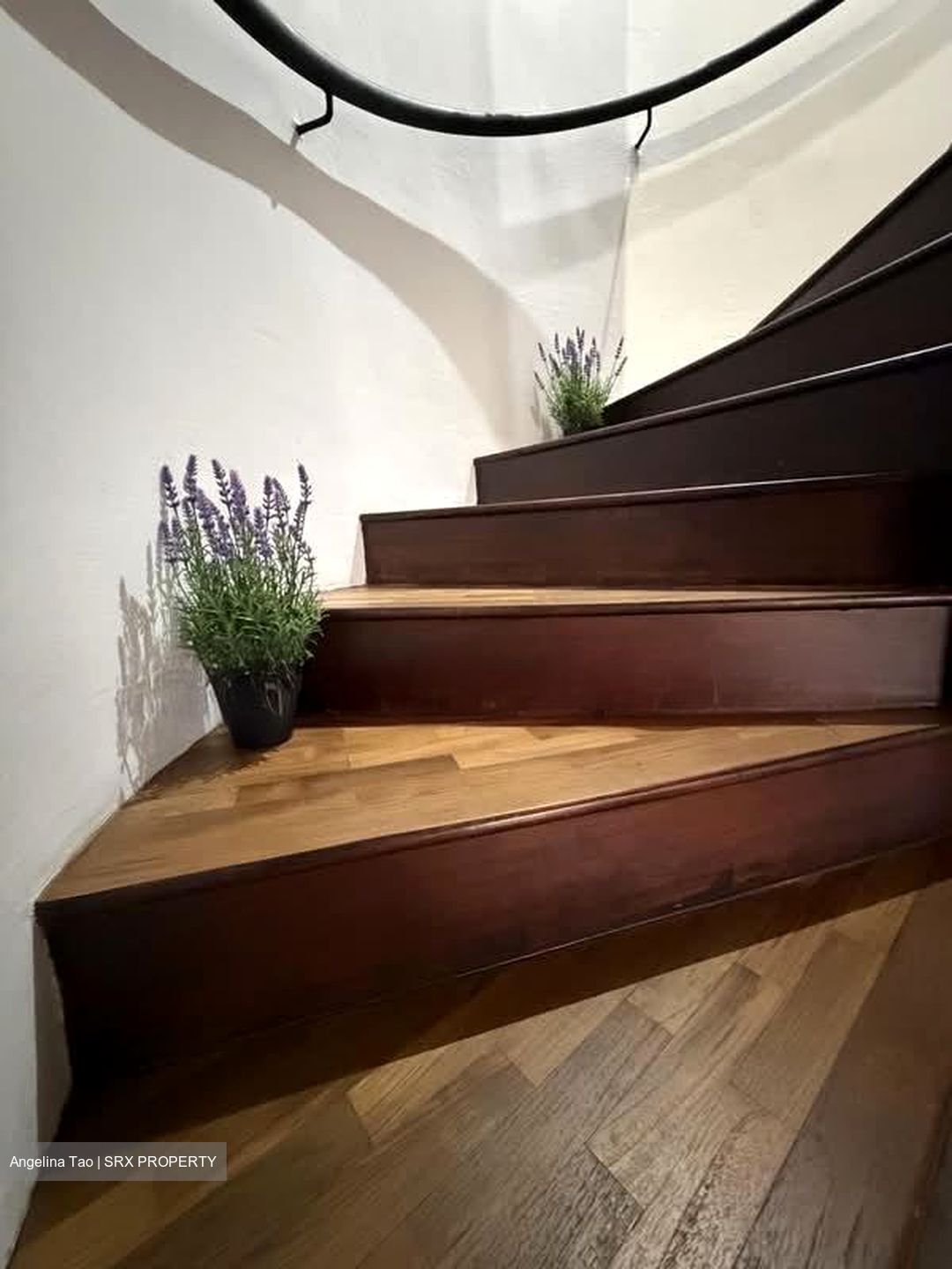 Apollo Gardens (D16), Apartment #586750491
